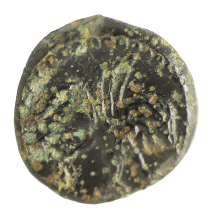 Gauloise - Carnutes (Région de la Beauce) Bronze KATAL au lion ailé
