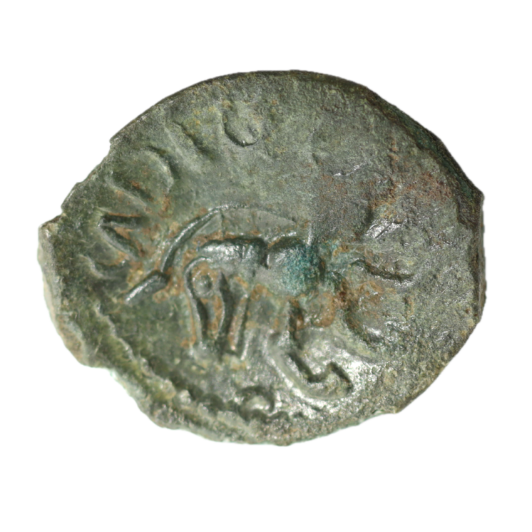 Gauloise - Pagus Catuslugi - Sanctuaire de Bois l'Abbé (Seine-Maritimes) Bronze VIIRICIVS, classe II