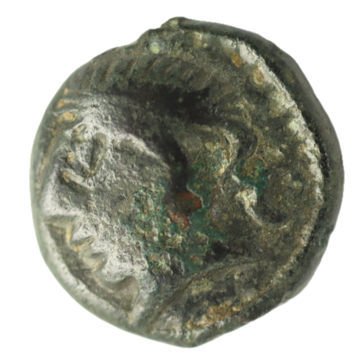 Gauloise - Carnutes (Région de la Beauce) Bronze au cheval et au sanglier