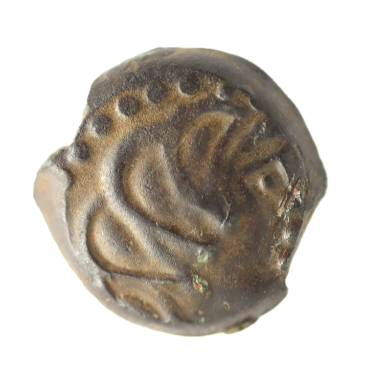 Gauloise - Sénons (Région de Sens) Bronze SIINV à l'oiseau