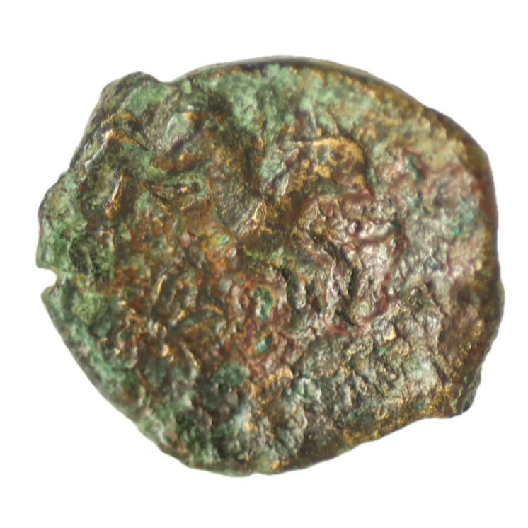Gauloise - Véliocasses (Région du Véxin Normand) Bronze SVTICOS, classe V à la petite tête de face