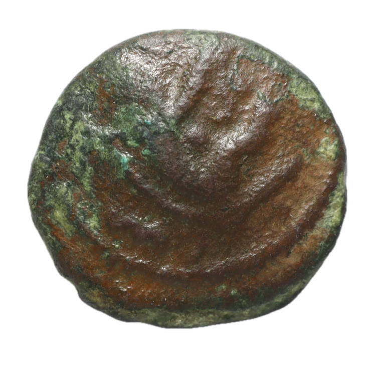 Gauloise - Ambiens (Région d'Amiens) Bronze VACIICO, au sanglier et au cavalier