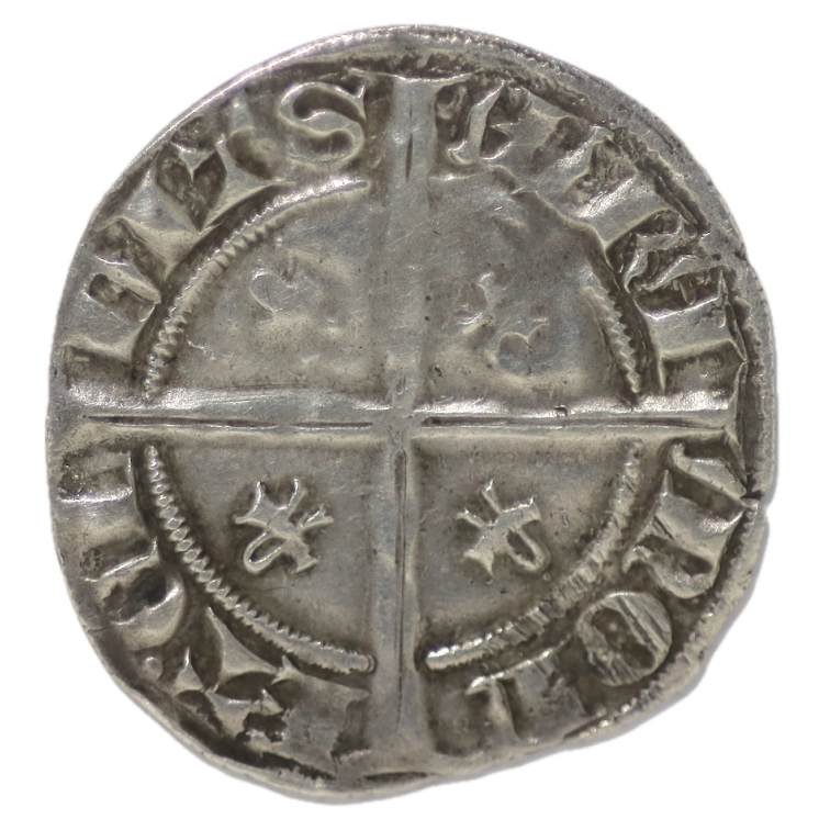 Orange - Raimond V (1340-1393) Demi Carlin