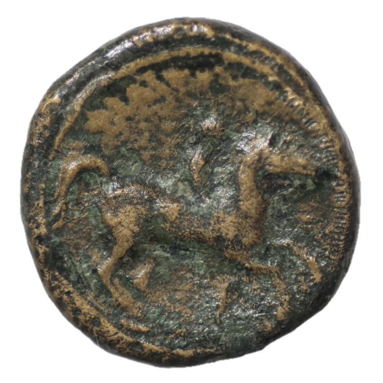 Macédoine - Philippe II (359-336), Bronze