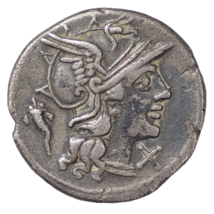 Rome - République Vibbia, 90 av J.C, Denier