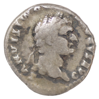 Rome - Domitien, Denier