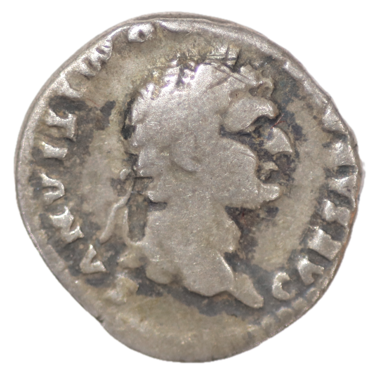 Rome - Domitien, Denier