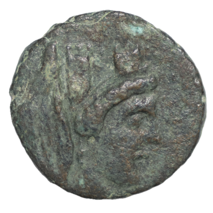 Phénicie - Sidon 80 av J.C, Dichalque bronze