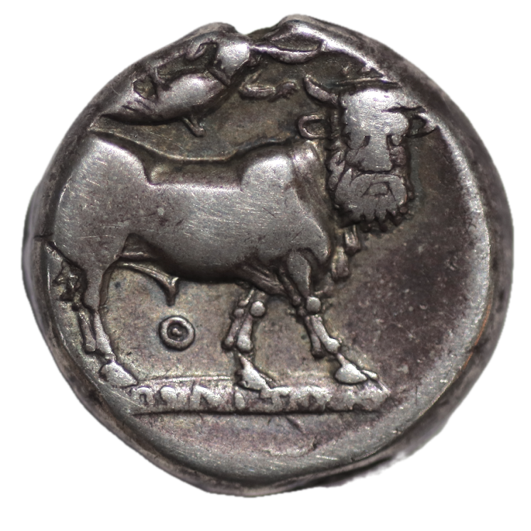 Campagnie - Neapolis Didrachme (275-250 av J.C)