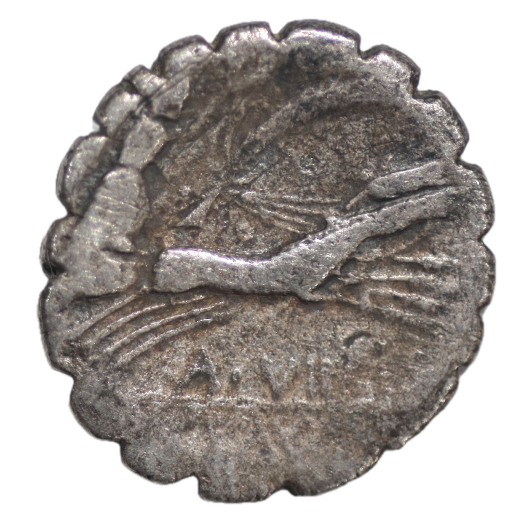 République Calpurnia - Denier 67 av J.C.