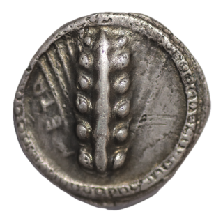 Lucanie - Metaponte480 av J.C.