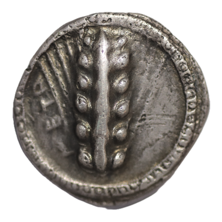 Lucanie - Metaponte480 av J.C.