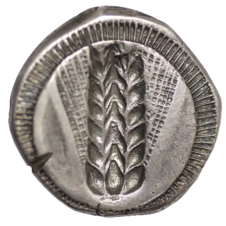 Lucanie - Metaponte480 av J.C.