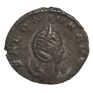 Rome - Salonine, Antoninien