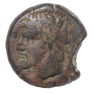 Carthage - Micipsa, Bronze au cheval