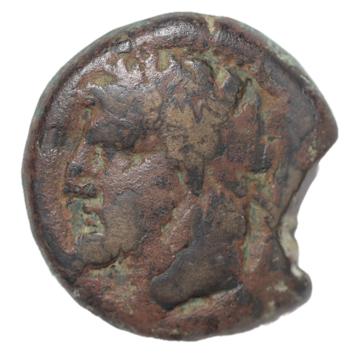 Carthage - Micipsa, Bronze au cheval