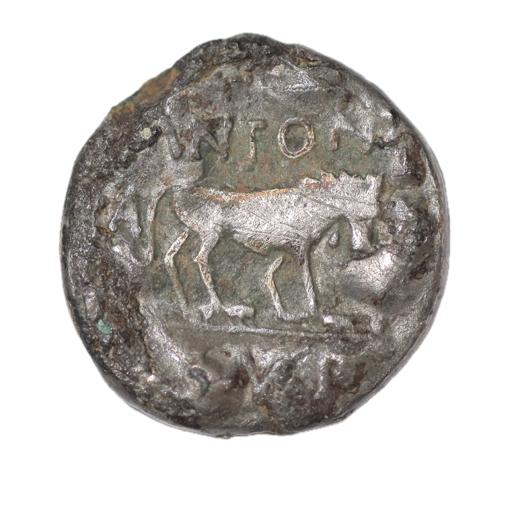 Rome - Marc-Antoine, 30 av J.C, Quinaire (Lion)