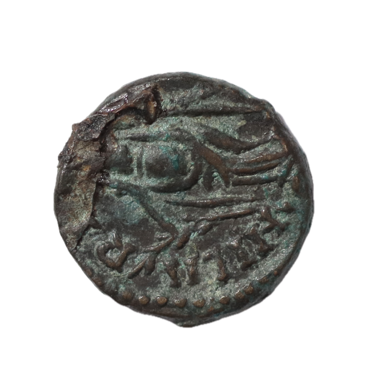 Rome - Tetricus (270-273), Petit bronze barbare, frappé en Gaule