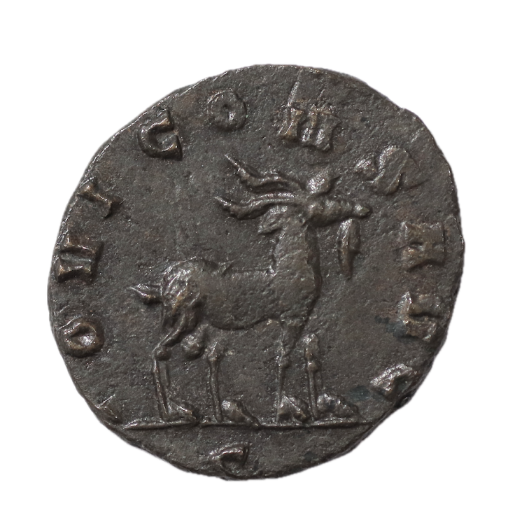 Rome - Gallien (253-360), Antonien, Chèvre