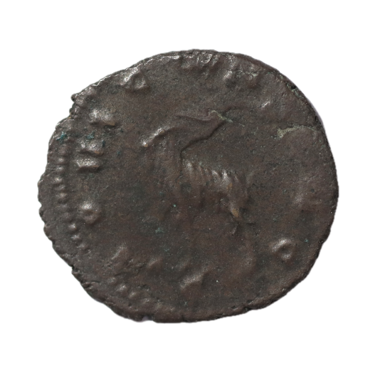 Rome - Gallien (253-268), Antoninien