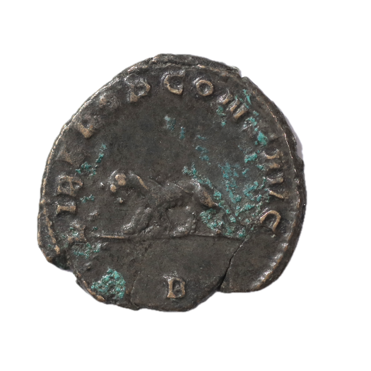 Rome - Gallien (253-268), Antoninien