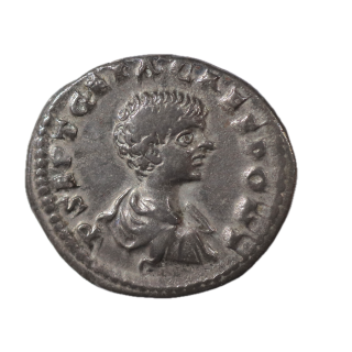 Rome - Geta (209-212), Denier