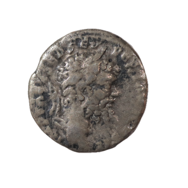 Rome - Septime Sévère (193-211), Denier