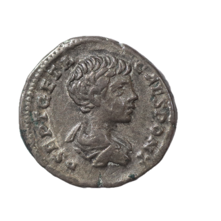 Rome - Geta (209-212), Denier