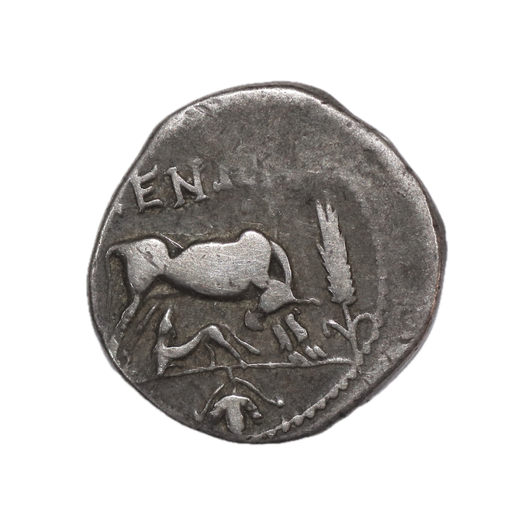 Grèce - Illyrie, Apollonia, (IIIE-IIe av J.C.), Drachme