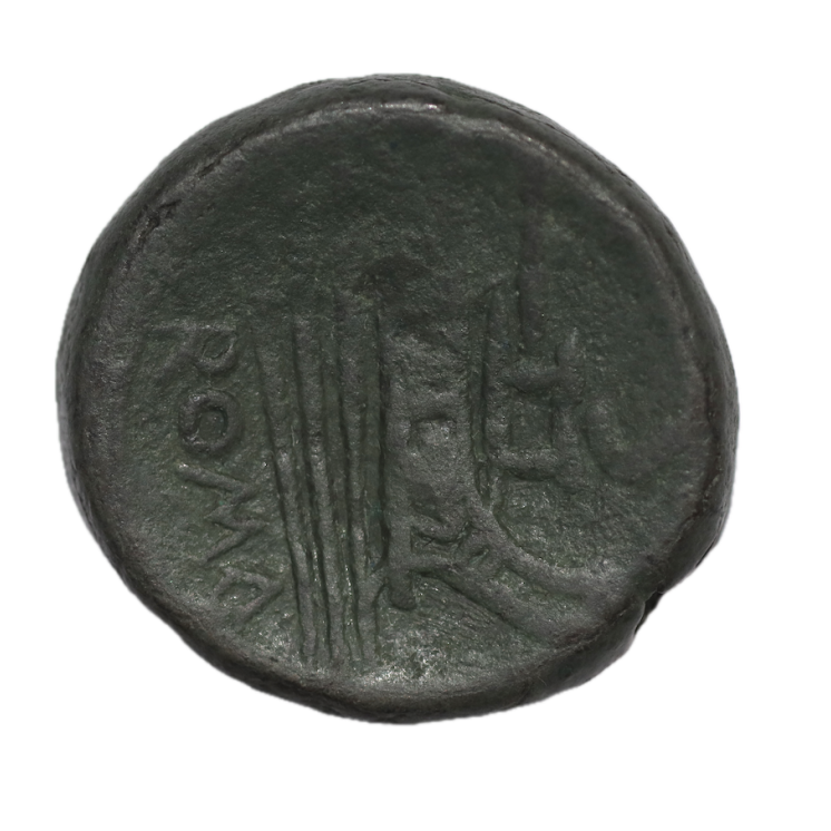 Rome - République (211-208 av J.C.), Semis