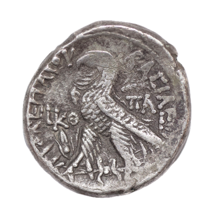 Egypte - Lagide, Ptolémée XII, Tetradrachme