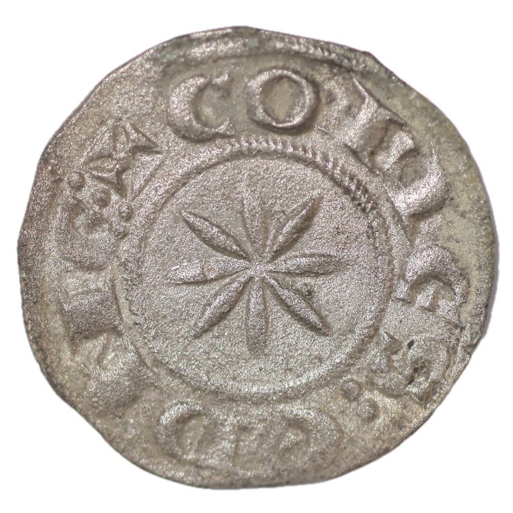 France - Comté d'Embrun, Bertrand IV et Guillaume IV