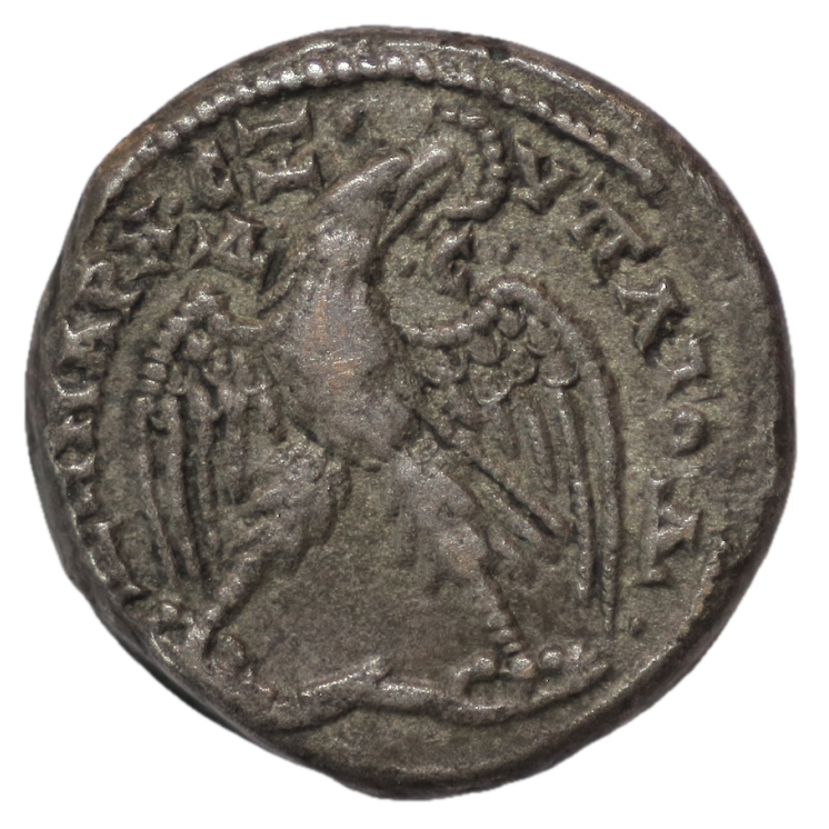 Rome - Tetradrachme Syrophénicien