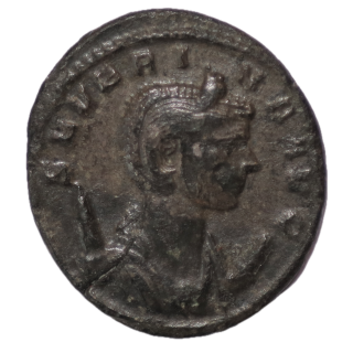 Rome - Ulpia Severina (270-275), Antoninien