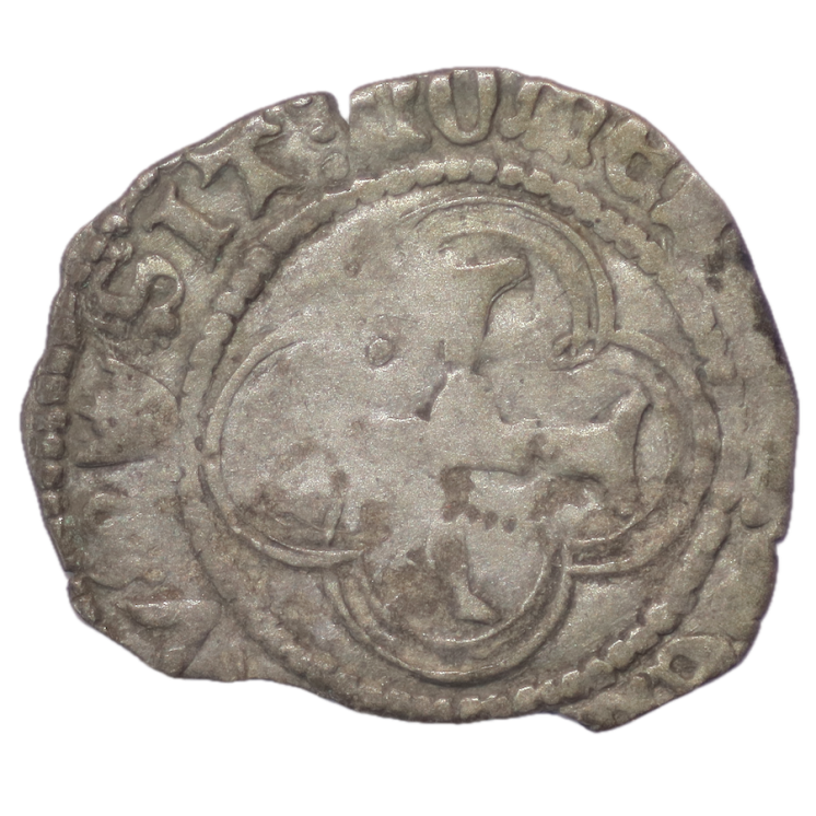 France - Louis XI (1461-1483), Blanc au soleil