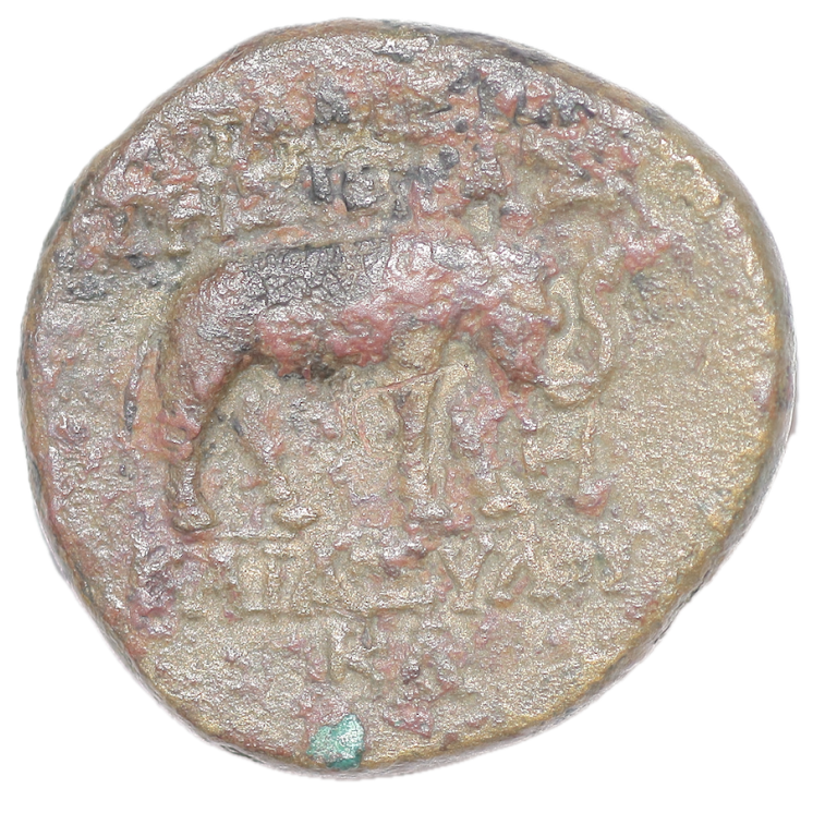 Rome - République Acilia (49 av J.C.), Denier