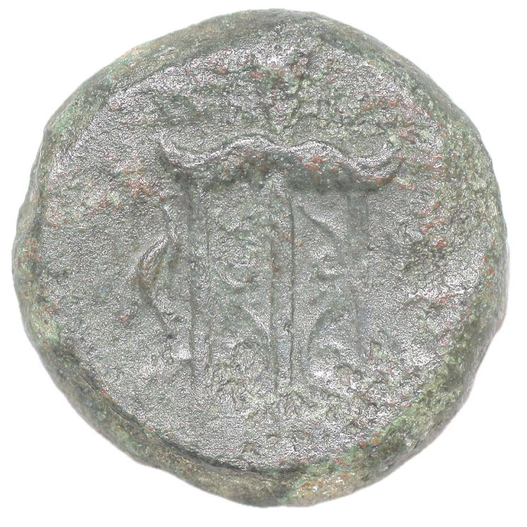 Sicile - Syracuse, Hieron II (275-215 av J.C.), Bronze