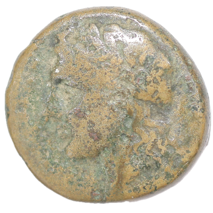 Sicile - Syracuse, Timoleon (344-317 av J.C.), Litra, Bronze