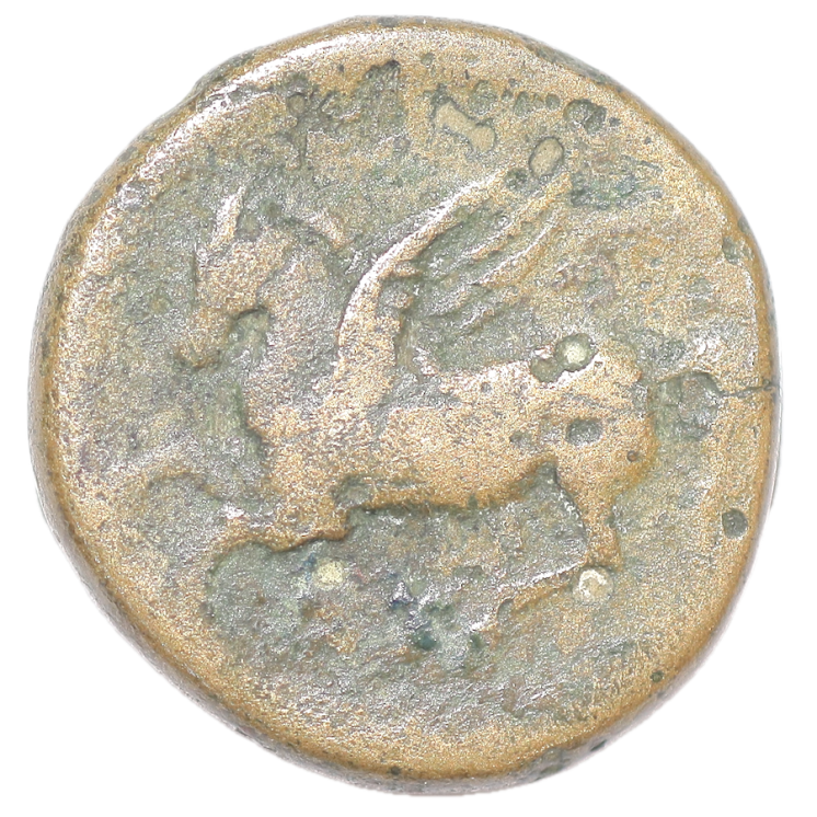 Sicile - Syracuse, Timoleon (344-317 av J.C.), Litra, Bronze