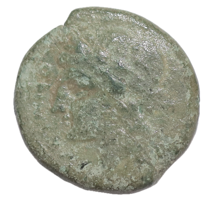 Campanie - Cales (265-240 av J.C.), unité de bronze