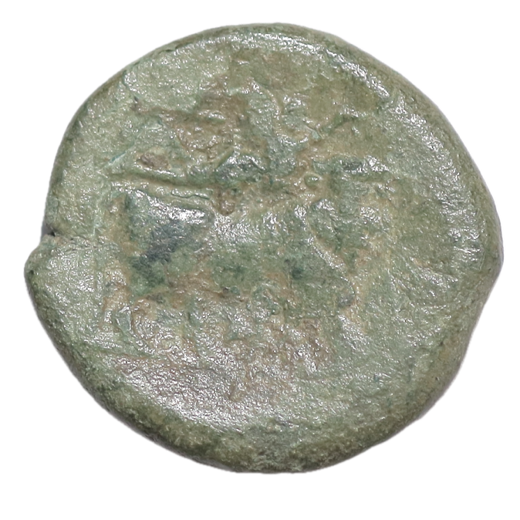 Campanie - Cales (265-240 av J.C.), unité de bronze