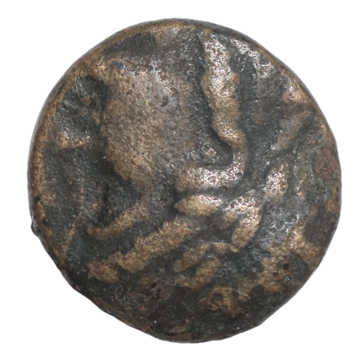 Syrie - Roi de Syrie, Antiochus II (261-246 av. J.C)