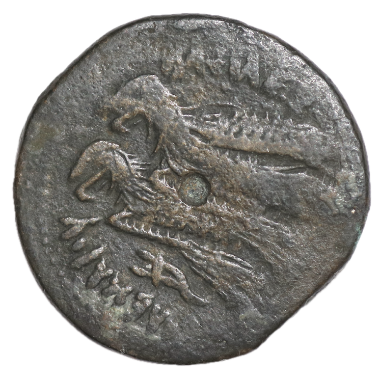 Egypte - Lagide, Bronze, Alexandrie, Ptolémée VI