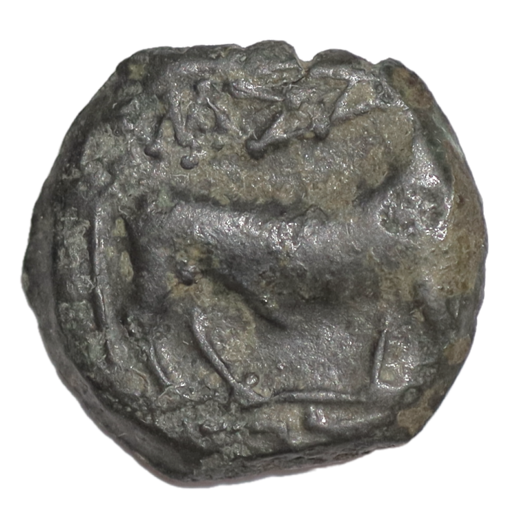 Italie - Campagnie Neapolis (275 av. J.C), petit Bronze
