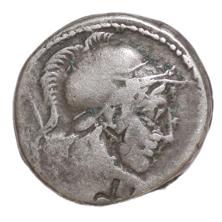 Italie - Rome, République, Denier