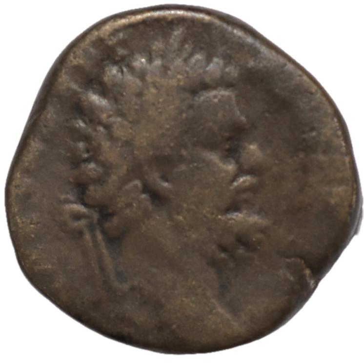 Rome - Septime Sévère (193-211), Sesterce