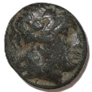 Empire Séleucide - Antiochus II, 1/2 Chalque