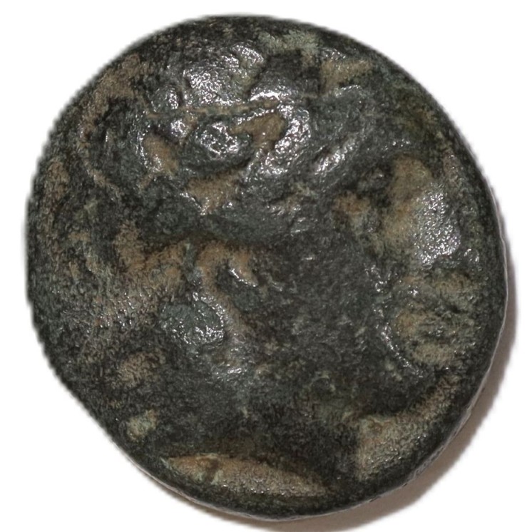 Empire Séleucide - Antiochus II, 1/2 Chalque