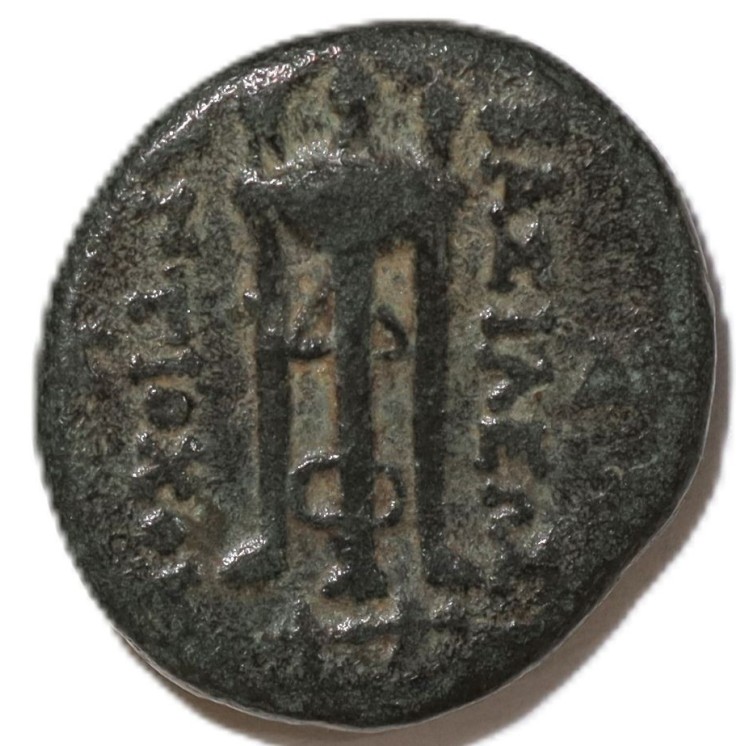 Empire Séleucide - Antiochus II, 1/2 Chalque