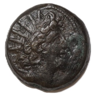 Empire Séleucide - Antiochus VIII, 1 Chalque